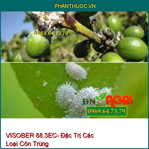 VISOBER 88.3EC- Đặc Trị Các Loại Côn Trùng