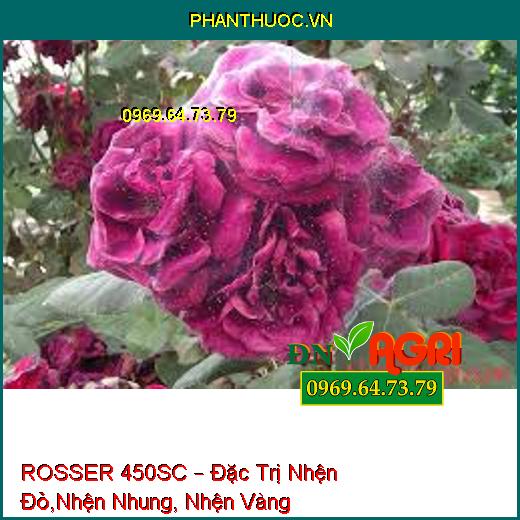 ROSSER 450SC – Đặc Trị Nhện Đỏ,Nhện Nhung, Nhện Vàng