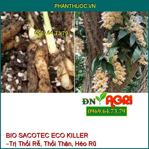 BIO SACOTEC ECO KILLER –Trị Thối Rễ, Thối Thân, Héo Rũ