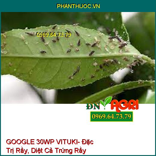 GOOGLE 30WP VITUKI- Đặc Trị Rầy, Diệt Cả Trứng Rầy