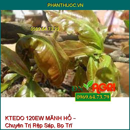 KTEDO 120EW MÃNH HỔ – Chuyên Trị Rệp Sáp, Bọ Trĩ