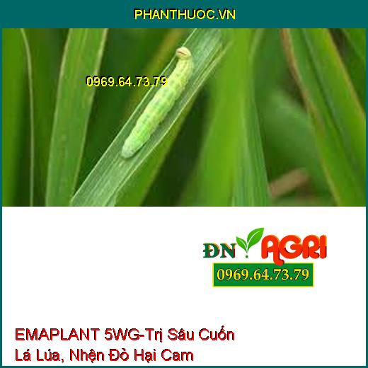 EMAPLANT 5WG-Trị Sâu Cuốn Lá Lúa, Nhện Đỏ Hại Cam