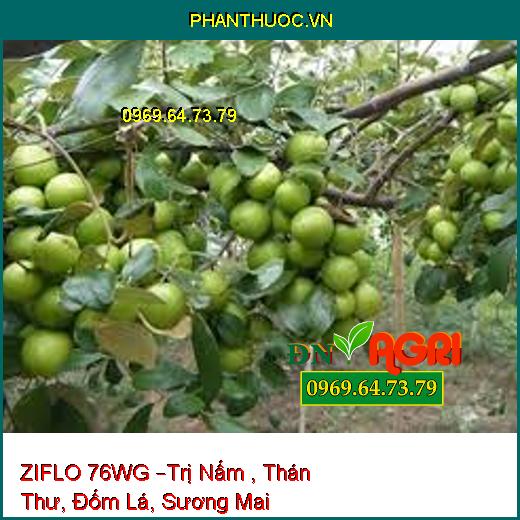 ZIFLO 76WG –Trị Nấm , Thán Thư, Đốm Lá, Sương Mai