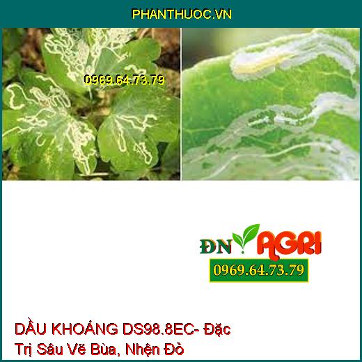 DẦU KHOÁNG DS98.8EC- Đặc Trị Sâu Vẽ Bùa, Nhện Đỏ