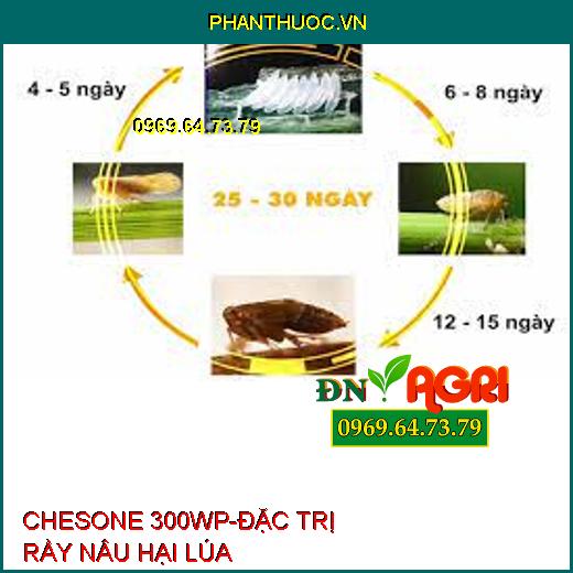 CHESONE 300WP-ĐẶC TRỊ RẦY NÂU HẠI LÚA