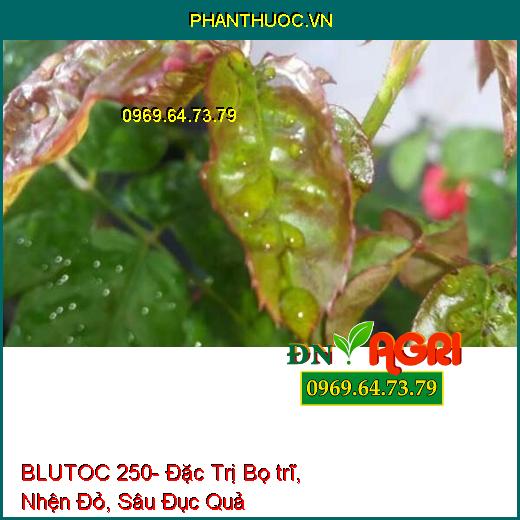 BLUTOC 250- Đặc Trị Bọ trĩ, Nhện Đỏ, Sâu Đục Quả