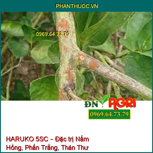 HARUKO 5SC – Đặc trị Nấm Hồng, Phấn Trắng, Thán Thư