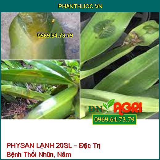 PHYSAN LẠNH 20SL – Đặc Trị Bệnh Thối Nhũn, Nấm