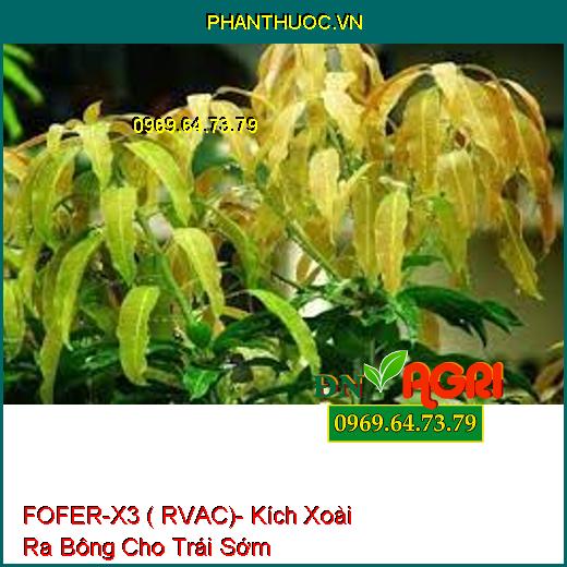 FOFER-X3 ( RVAC)- Kích Xoài Ra Bông Cho Trái Sớm