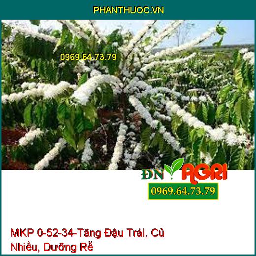 MKP 0-52-34-Tăng Đậu Trái, Củ Nhiều, Dưỡng Rễ