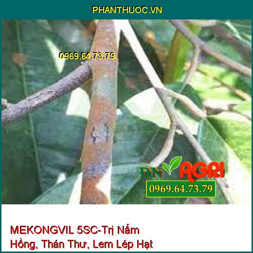 MEKONGVIL 5SC-Trị Nấm Hồng, Thán Thư, Lem Lép Hạt