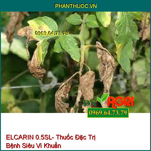 ELCARIN 0.5SL- Thuốc Đặc Trị Bệnh Siêu Vi Khuẩn