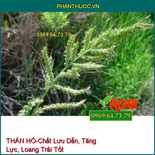 THẦN HỔ-Chất Lưu Dẫn, Tăng Lực, Loang Trải Tốt