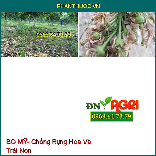 BO MỸ- Chống Rụng Hoa Và Trái Non