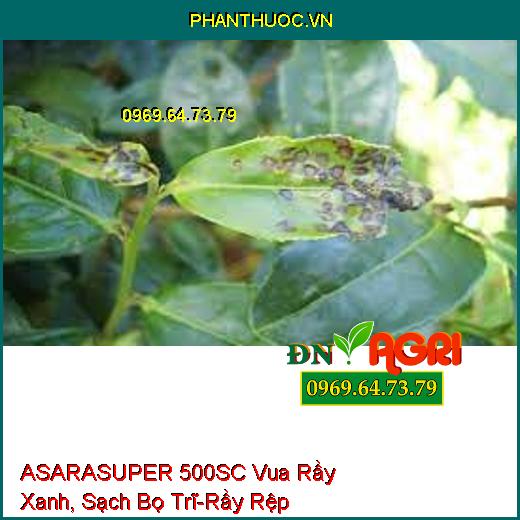 ASARASUPER 500SC Vua Rầy Xanh, Sạch Bọ Trĩ-Rầy Rệp