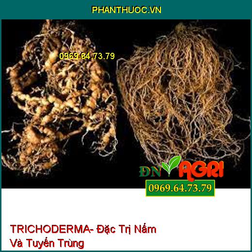 TRICHODERMA- Đặc Trị Nấm Và Tuyến Trùng