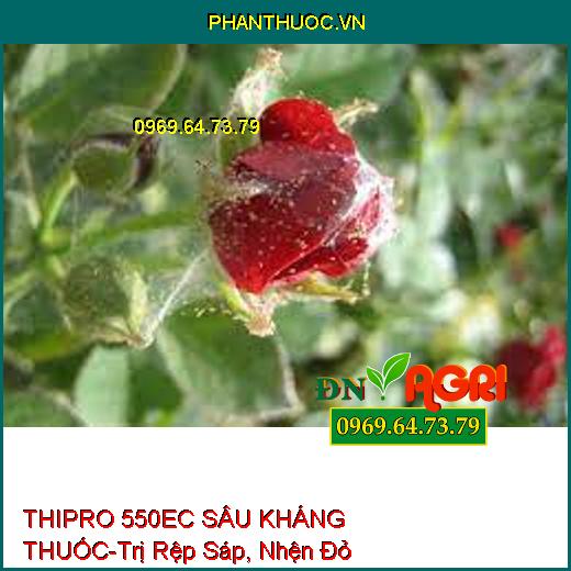 THIPRO 550EC SÂU KHÁNG THUỐC-Trị Rệp Sáp, Nhện Đỏ