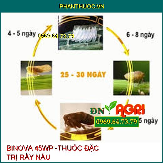 BINOVA 45WP -THUỐC ĐẶC TRỊ RẦY NÂU