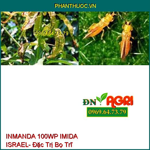 INMANDA 100WP IMIDA ISRAEL- Đặc Trị Bọ Trĩ