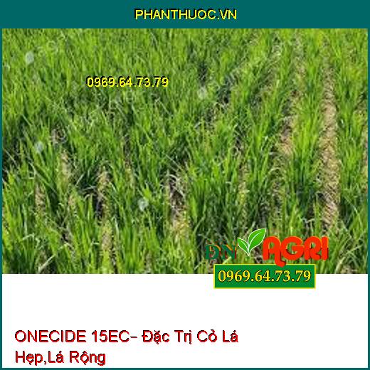 ONECIDE 15EC– Đặc Trị Cỏ Lá Hẹp,Lá Rộng