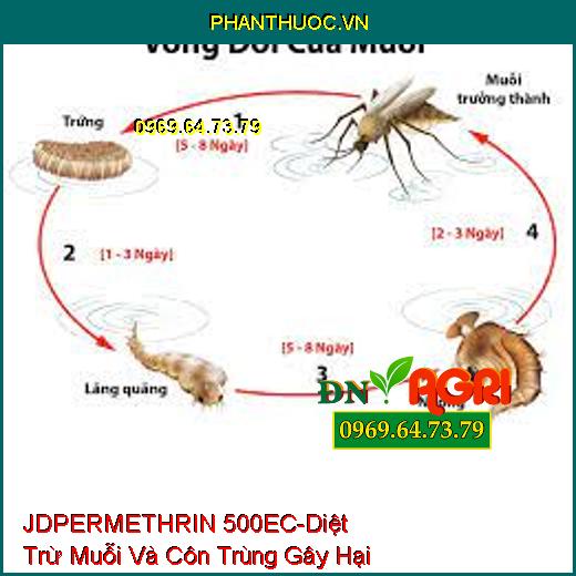 JDPERMETHRIN 500EC-Diệt Trừ Muỗi Và Côn Trùng Gây Hại