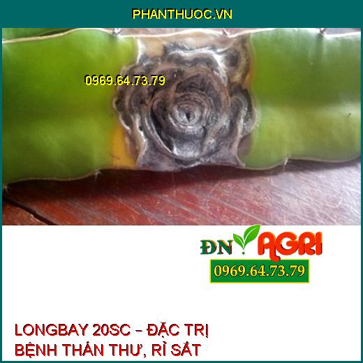 LONGBAY 20SC – ĐẶC TRỊ BỆNH THÁN THƯ, RỈ SẮT