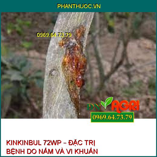 KINKINBUL 72WP – ĐẶC TRỊ BỆNH DO NẤM VÀ VI KHUẨN