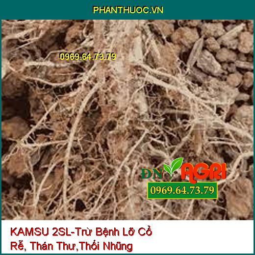 KAMSU 2SL-Trừ Bệnh Lỡ Cổ Rễ, Thán Thư,Thối Nhũng