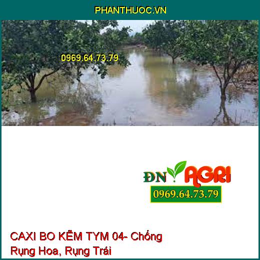 CAXI BO KẼM TYM 04- Chống Rụng Hoa, Rụng Trái