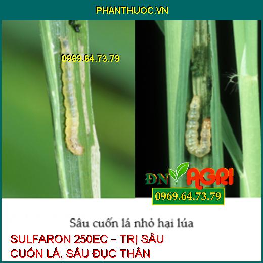 SULFARON 250EC – TRỊ SÂU CUỐN LÁ, SÂU ĐỤC THÂN