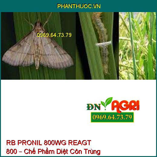 RB PRONIL 800WG REAGT 800 – Chế Phẩm Diệt Côn Trùng