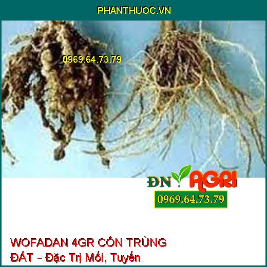 WOFADAN 4GR CÔN TRÙNG ĐẤT – Đặc Trị Mối, Tuyến Trùng, Rệp