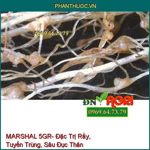 MARSHAL 5GR- Đặc Trị Rầy, Tuyến Trùng, Sâu Đục Thân