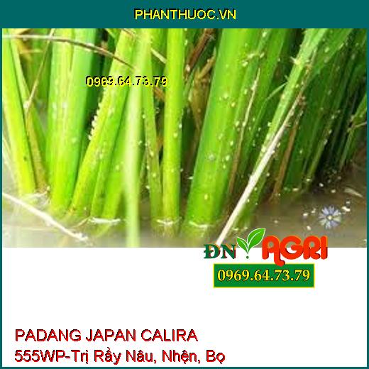 PADANG JAPAN CALIRA 555WP-Trị Rầy Nâu, Nhện, Bọ Trĩ