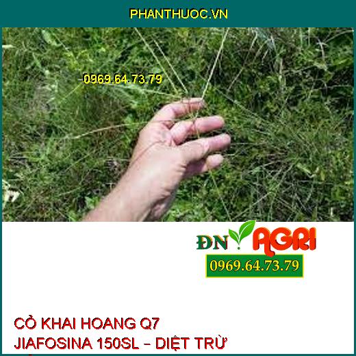 CỎ KHAI HOANG Q7 JIAFOSINA 150SL – DIỆT TRỪ CỎ