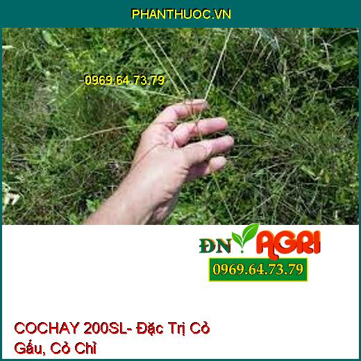 COCHAY 200SL- Đặc Trị Cỏ Gấu, Cỏ Chỉ