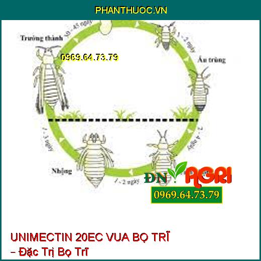 UNIMECTIN 20EC VUA BỌ TRĨ – Đặc Trị Bọ Trĩ