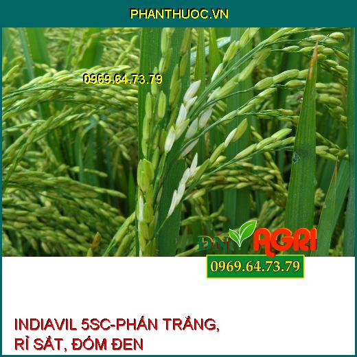 INDIAVIL 5SC-PHẤN TRẮNG, RỈ SẮT, ĐỐM ĐEN