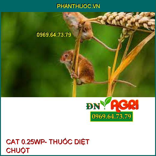 CAT 0.25WP- THUỐC DIỆT CHUỘT