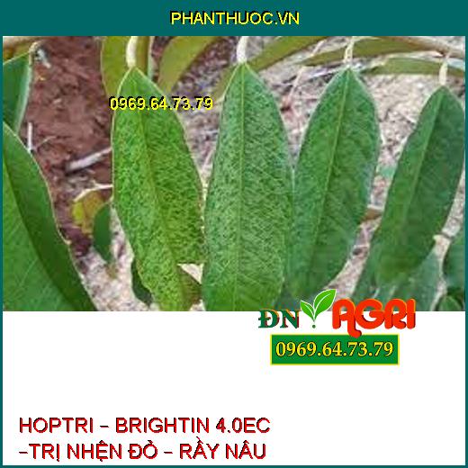 HOPTRI – BRIGHTIN 4.0EC –TRỊ NHỆN ĐỎ – RẦY NÂU