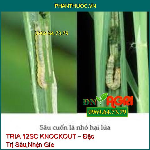 TRIA 12SC KNOCKOUT – Đặc Trị Sâu,Nhện Gíe