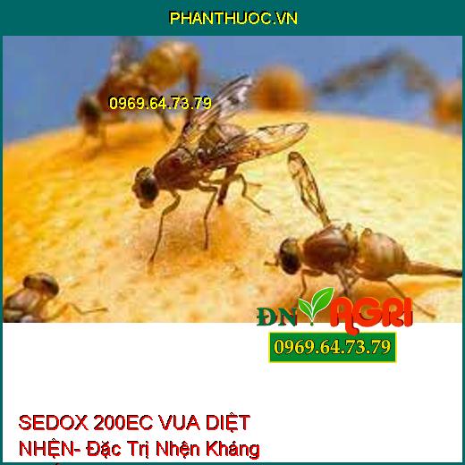 (SEDOX 200EC VUA DIỆT NHỆN- Đặc Trị Nhện Kháng Thuốc