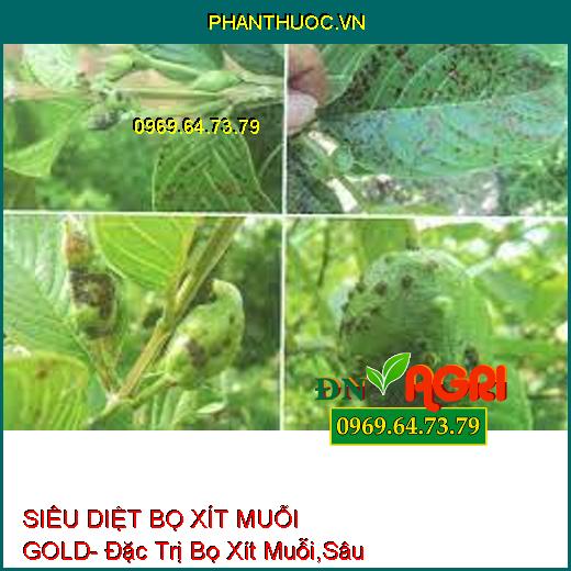 SIÊU DIỆT BỌ XÍT MUỖI GOLD- Đặc Trị Bọ Xít Muỗi,Sâu