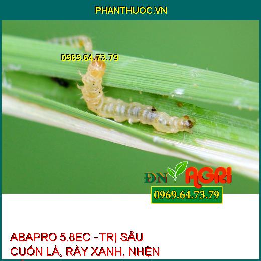 ABAPRO 5.8EC –TRỊ SÂU CUỐN LÁ, RẦY XANH, NHỆN ĐỎ