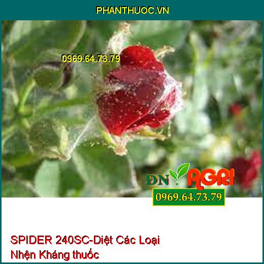 SPIDER 240SC-Diệt Các Loại Nhện Kháng thuốc