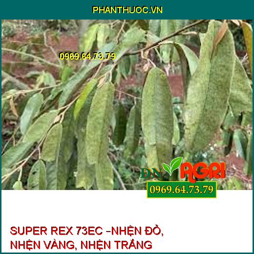 SUPER REX 73EC –NHỆN ĐỎ, NHỆN VÀNG, NHỆN TRẮNG