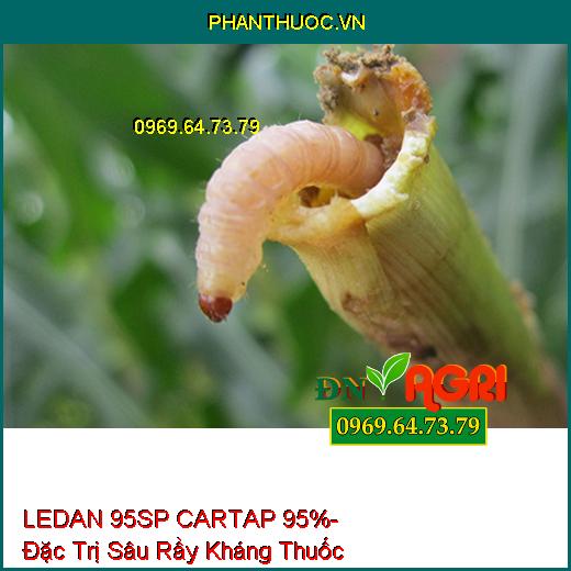 LEDAN 95SP CARTAP 95%- Đặc Trị Sâu Rầy Kháng Thuốc