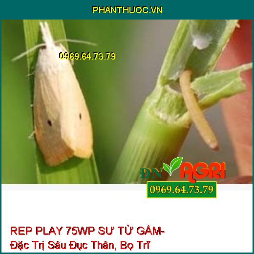 REP PLAY 75WP SƯ TỬ GẦM- Đặc Trị Sâu Đục Thân, Bọ Trĩ