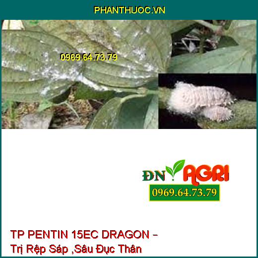 TP PENTIN 15EC DRAGON – Trị Rệp Sáp ,Sâu Đục Thân