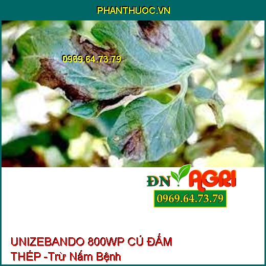 UNIZEBANDO 800WP CÚ ĐẤM THÉP -Trừ Nấm Bệnh